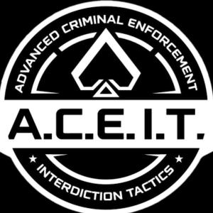 ACE Interdiction Tactics company logo